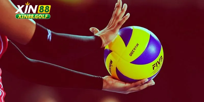 Bí kíp cá cược volleyball bất bại từ cao thủ của Xin88